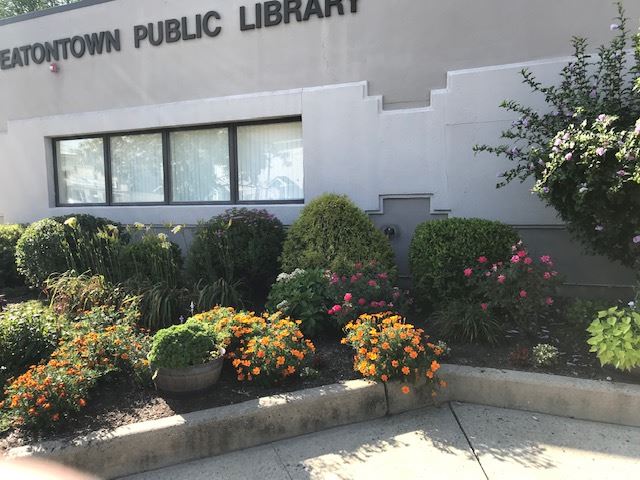 Library Flowers